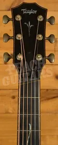 Taylor Koa Series | Builder's Edition K24ce