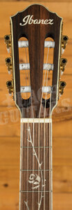 Ibanez TOD10NL Tim Henson (Polyphia) Electro-Nylon | Transparent Black Flat - Left-Handed