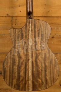 Eastman AC222CE | Classic