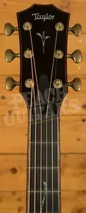 Taylor Koa Series | Builder's Edition K24ce