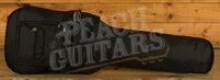 Fender Brad Paisley Road Worn Telecaster - Maple - Silver Sparkle