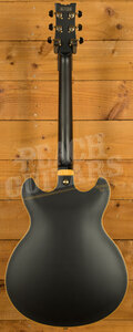 Ibanez Signature Models | JSM20 - John Scofield - Black Low Gloss