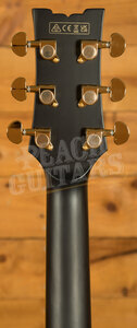 Ibanez Signature Models | JSM20 - John Scofield - Black Low Gloss