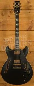 Ibanez JSM20 John Scofield Hollow Body - Ebony - Black Low Gloss
