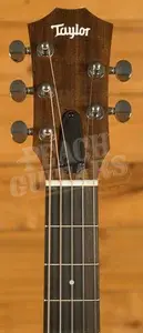 Taylor Jacob Collier GS Mini 5-String