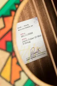 Taylor Jacob Collier GS Mini 5-String