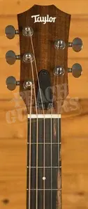 Taylor Jacob Collier GS Mini 5-String