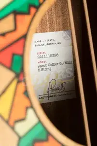 Taylor Jacob Collier GS Mini 5-String