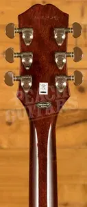 Epiphone Les Paul Special Double Cut Figured - Bourbon Burst