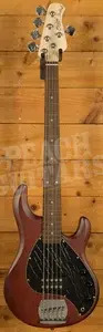 Sterling RAY5 SUB Series StingRay 5 Bass - Walnut Satin