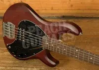 Sterling RAY5 SUB Series StingRay 5 Bass - Walnut Satin