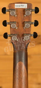 Cort Earth GO - Open Pore Brown Burst