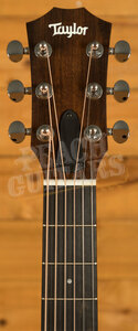 Taylor GS Mini Series | GS Mini Sapele
