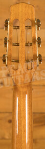 Ozark Gypsy Jazz Acoustic *Used*