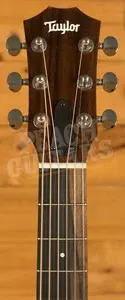 Taylor GS Mini Series | GS Mini Mahogany