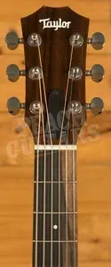 Taylor GS Mini Series | GS Mini Mahogany