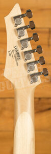 Cort X100 - Open Pore Black Cherry Burst