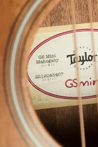 Taylor GS Mini Series | GS Mini Mahogany