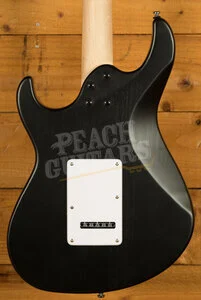 Cort G110 - Open Pore Black