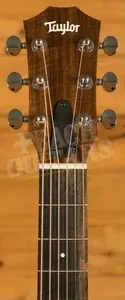 Taylor GS Mini Series | GS Mini Sapele