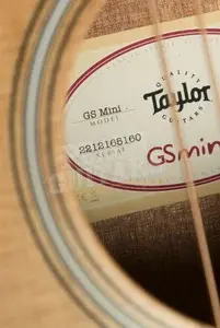 Taylor GS Mini Series | GS Mini Sapele
