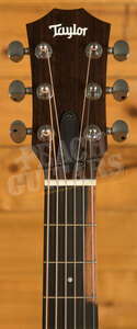 Taylor GS Mini Series | GS Mini Sapele