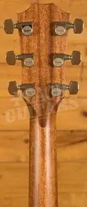 Taylor 500 Series | 514ce Next Generation