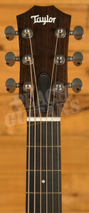 Taylor GS Mini Series | GS Mini Sapele