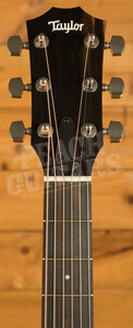 Taylor 200 Plus Series | 214ce Plus