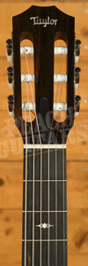 Taylor 300 Series | 312ce-N - Nylon