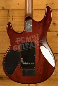 Sterling Steve Lukather LK100 Luke - Hazel Burst