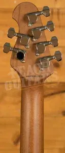 Sterling Steve Lukather LK100 Luke - Hazel Burst