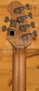 Sterling Steve Lukather LK100 Luke - Hazel Burst