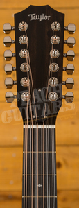 Taylor 300 Series | 362ce - 12-String