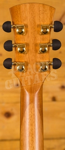 Faith Trembesi Neptune Electro Cutaway