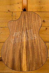 Faith Trembesi Neptune Electro Cutaway