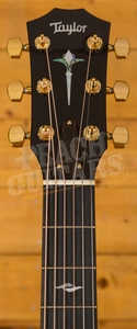 Taylor NAMM 2018 814ce-LTD Cocobolo & Singing Sitka Spruce