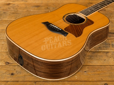 Taylor 810e Acoustic