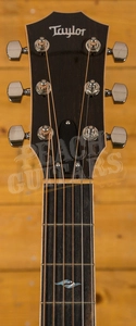 Taylor 810e Acoustic