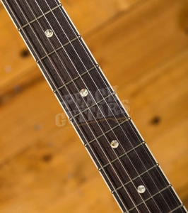 PRS DGT Faded Whale Blue Moons