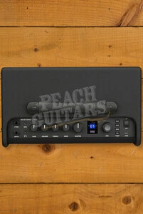 Fender Mustang LT40S