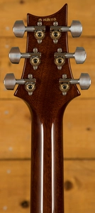 PRS Custom 22 Orange Tiger