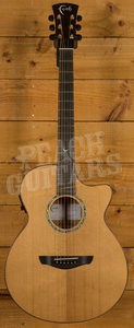 Faith Venus Torrified Top Prototype