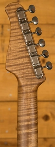 Xotic California Classic XSC-1 Gold Medium Aged 5A Neck