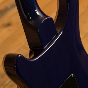 PRS Special Semi Hollow Limited Edition - Violet Purpleburst