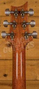 PRS Special Semi Hollow Limited Edition - Autumn Sky