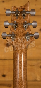 PRS Special Semi Hollow Limited Edition - River Blue