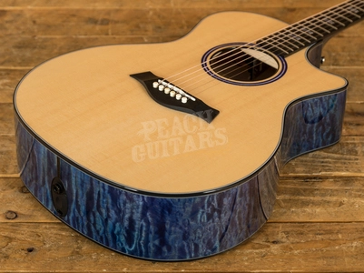 Taylor Custom GA #11152