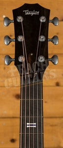 Taylor Custom GA #11152