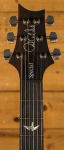 PRS Special Semi Hollow Limited Edition - River Blue